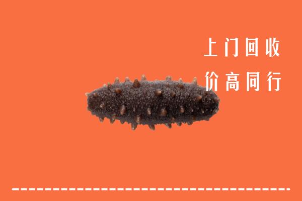 高价求购：潮南区回收海参