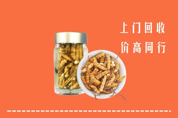 收购行情：潮南区回收冬虫夏草