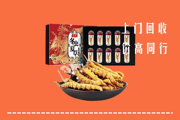 潮南区高价回收虫草
